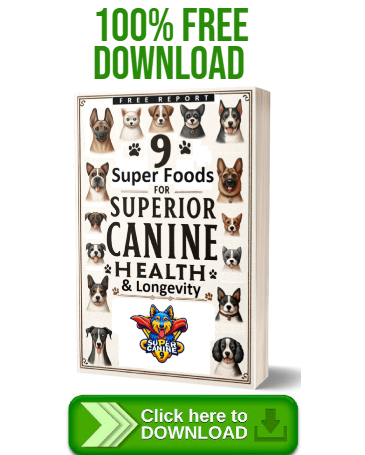 9 super foods for superior canine health free download
